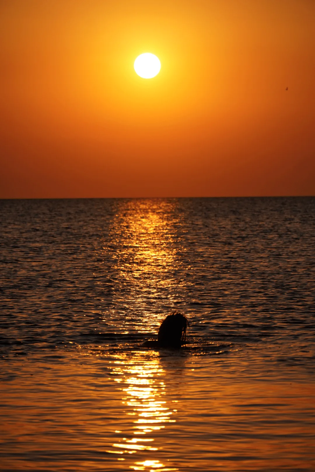 2.3  Griechenland – Chalkidiki